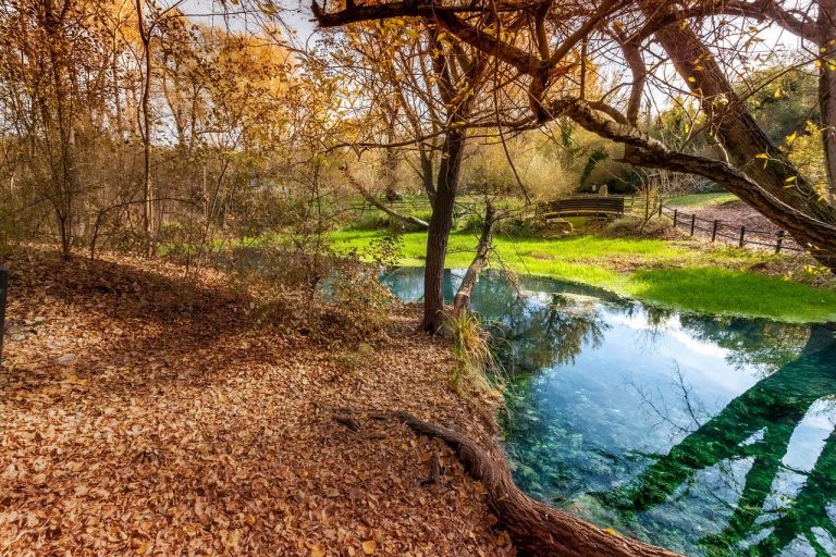 Nije važno što kažeš, nego kako to kažeš