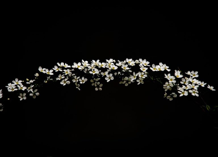 Je li vaša osobnost dobra za vaše zdravlje?