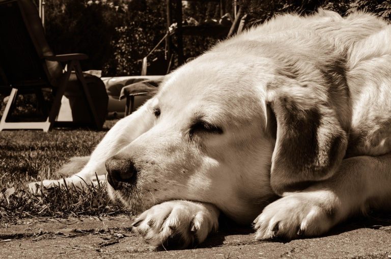 24 mjere kompatibilnosti u dugotrajnim vezama