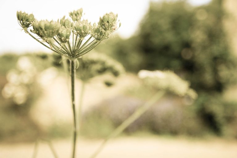 Masovne pucnjave su simptom, a ne korijenski problem