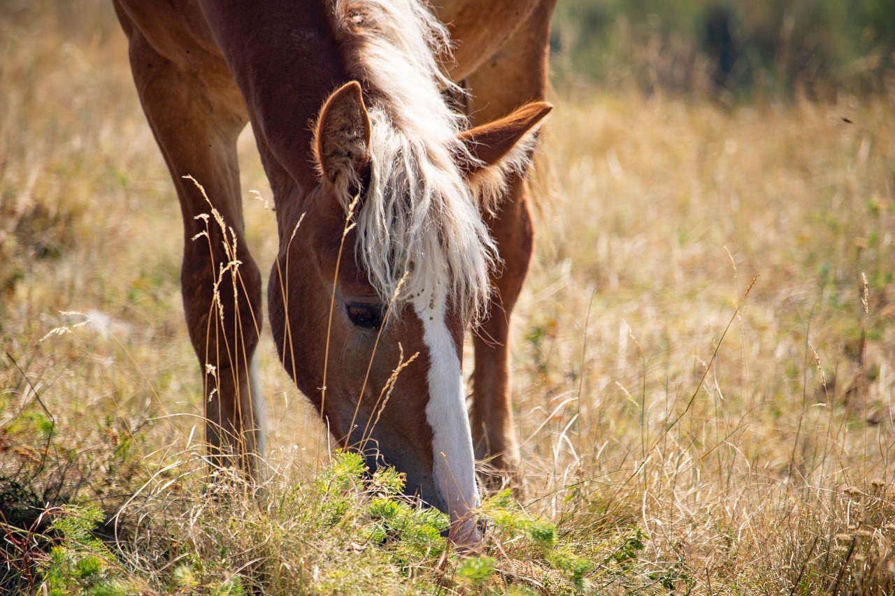 Zašto više vjerujemo liječnicima kada nose white coat