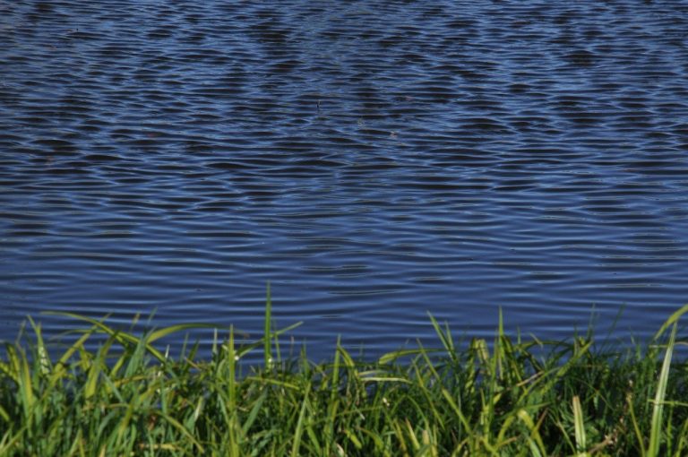 Što biste učinili s 10.000 dolara free cash ?