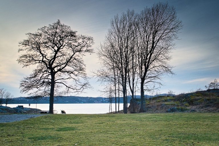 Što zapravo znači pojam frenemy ?