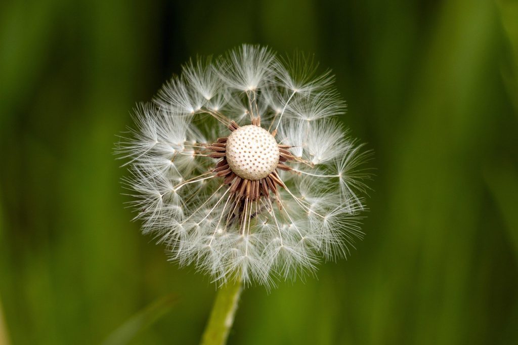 Kako parovi mogu postati seksualno responzivniji
