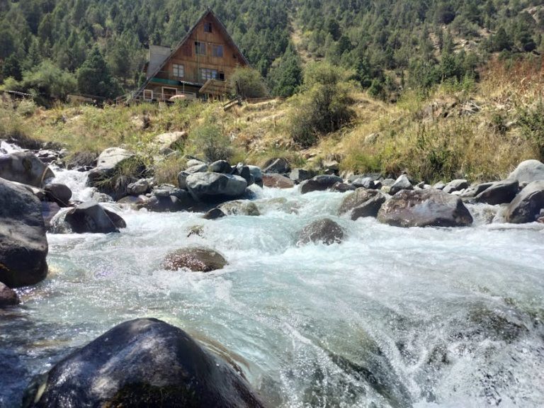 Kako optimizirati dizajn vrta za dobrobit