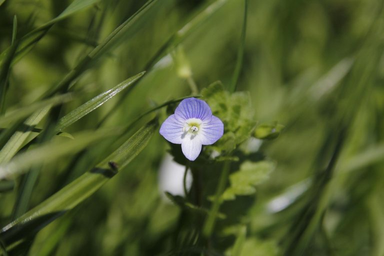 Kako diskriminacija na radnom mjestu podriva osjećaj vlastitog identiteta