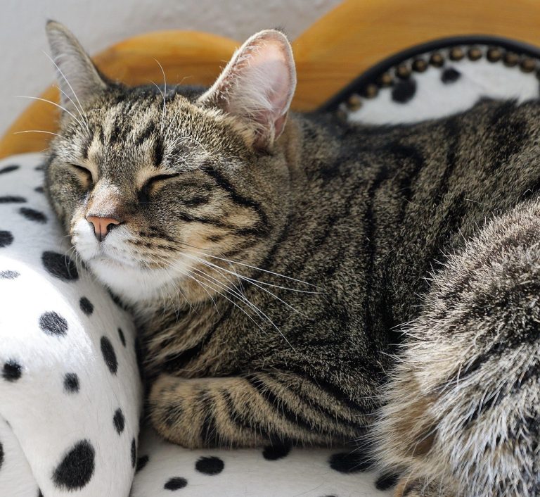 Vjerski identitet može utjecati na rizik od samoubojstva