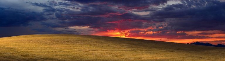 Pronalaženje radosti nakon Adverse Childhood Experiences