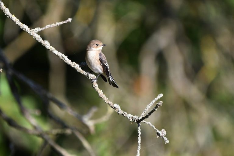 40 godina romantičnih komedija, jedna velika promjena