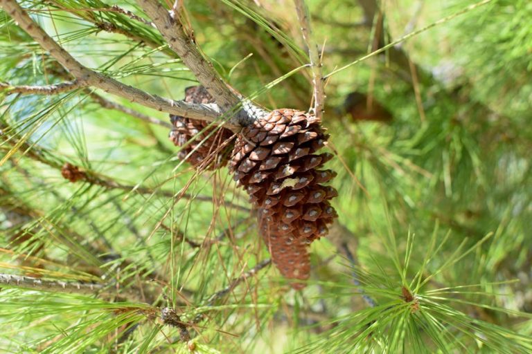 Što je potrebno da se popravi narušena veza