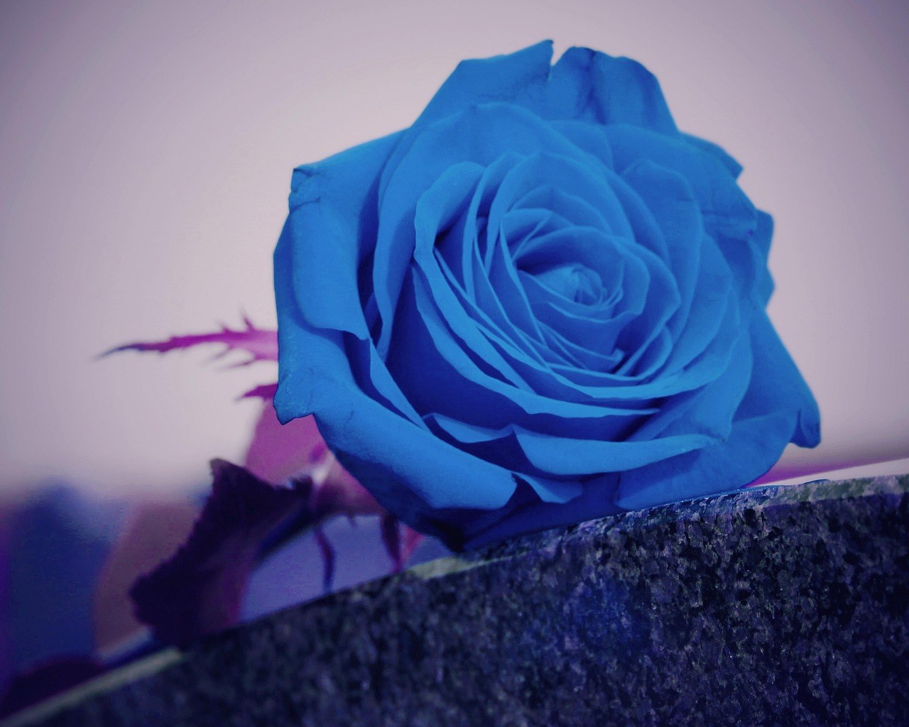 Sviranje glazbenog instrumenta može vas učiniti pametnijima