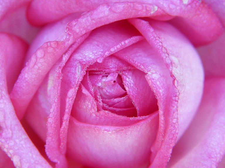 Jedan način da ukrotite YOLO način razmišljanja