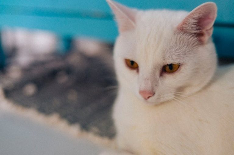 Osobe s rijetkim bolestima trebaju bolju zdravstvenu skrb