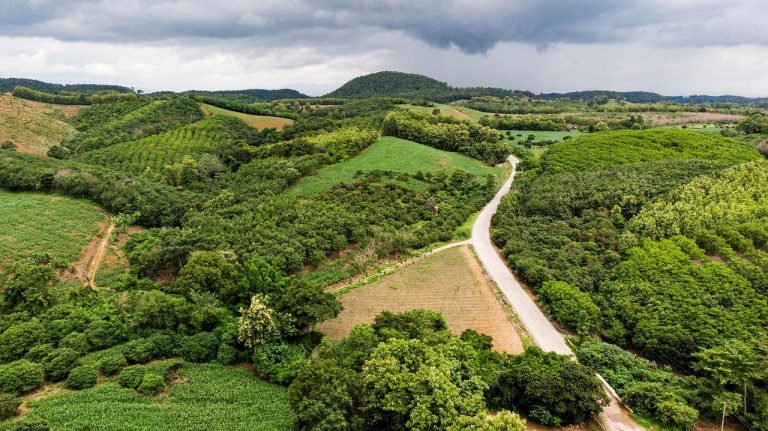 Pozitivna slika tijela i poremećaji hranjenja kod muškaraca