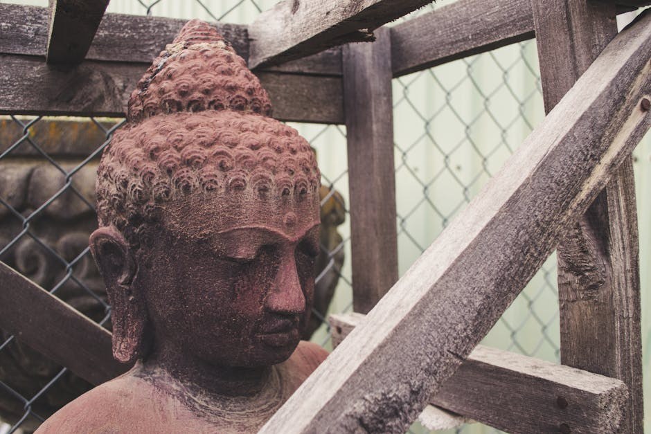 Delfini koriste pee mail za prepoznavanje prijatelja - a ptice glasaju